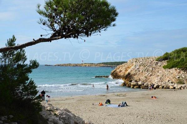 Sous Le Soleil Des Alpilles Apartamento Mouries Exterior foto